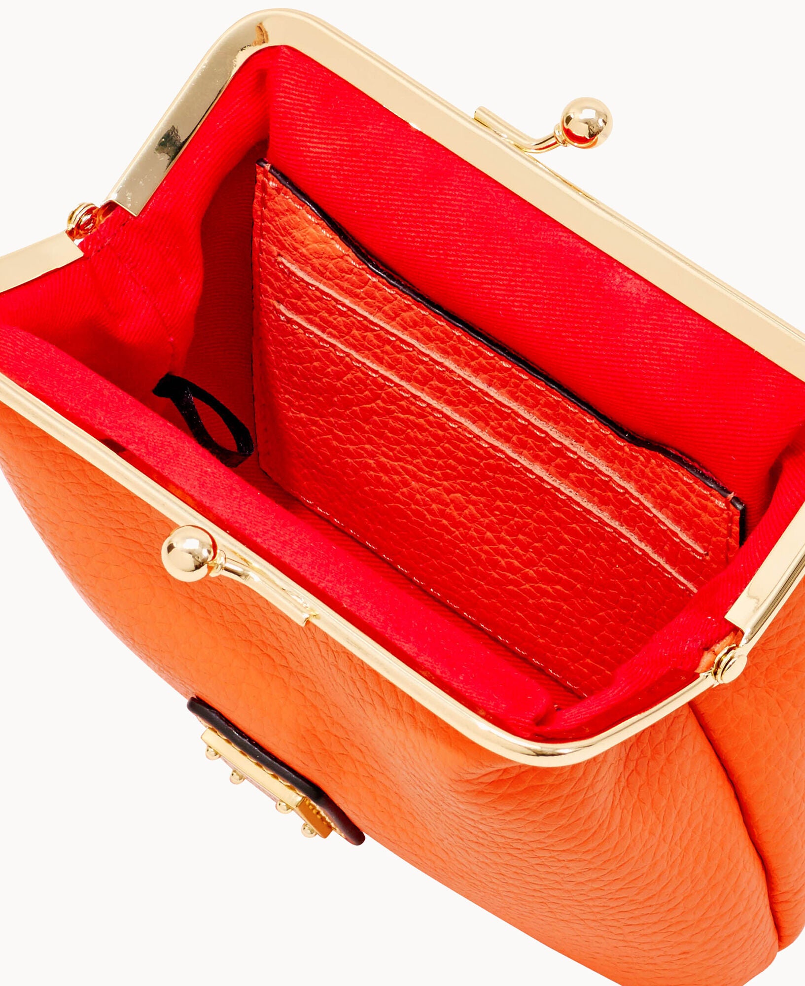 Pebble Grain Large Framed Purse - Image 14